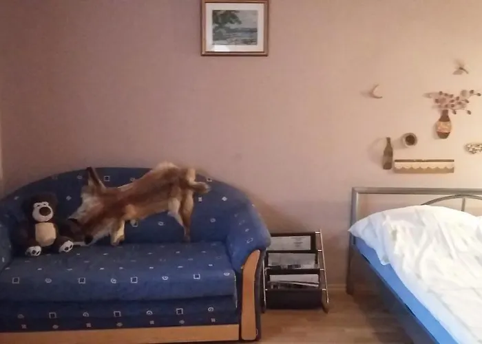 Norbi * Abadszalok